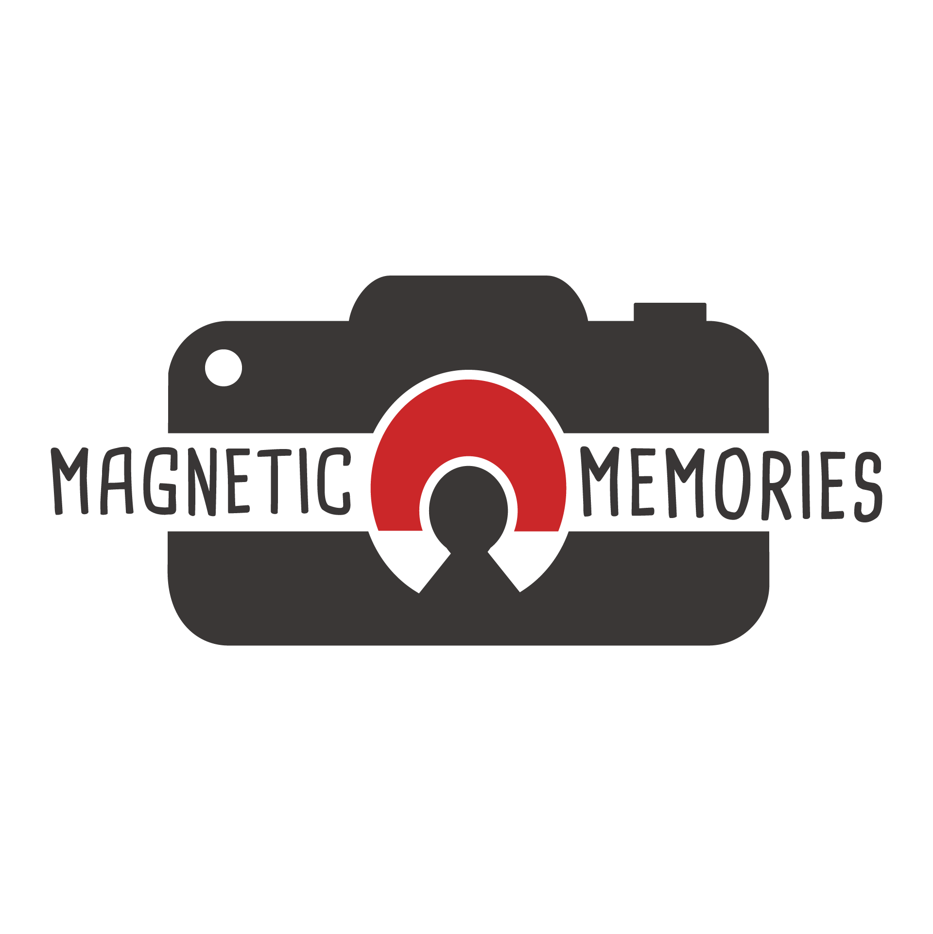Magnetic Memories