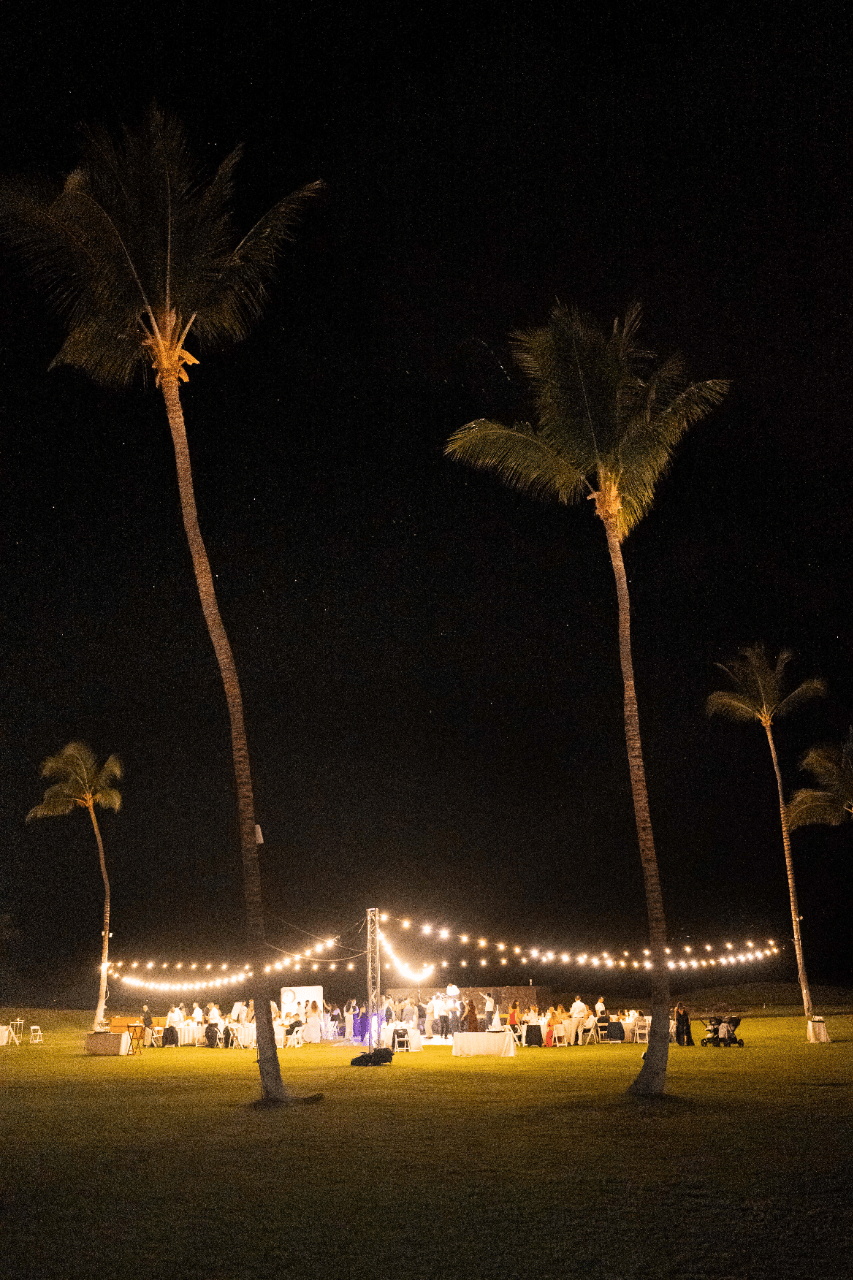Solair Kharadjian & Jano Ayarian's wedding-image-73