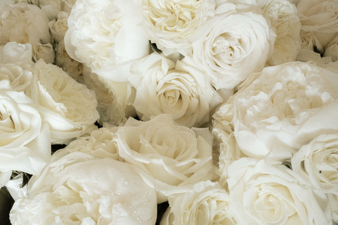 Solair Kharadjian & Jano Ayarian's wedding-image-17