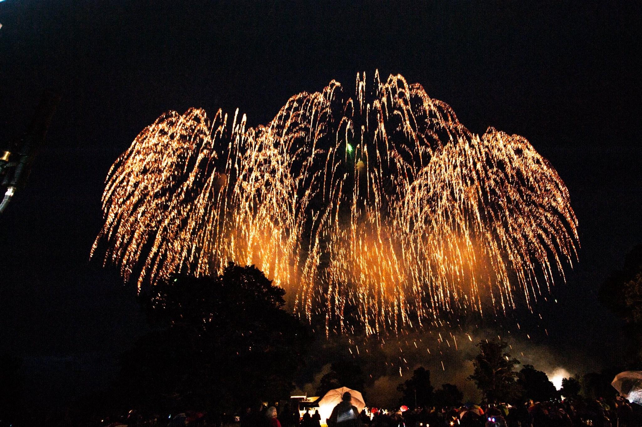 MLE Pyrotechnics Limited portfolio 5
