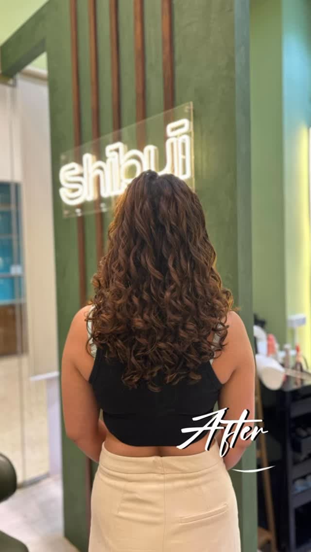Shibui Salon portfolio 2
