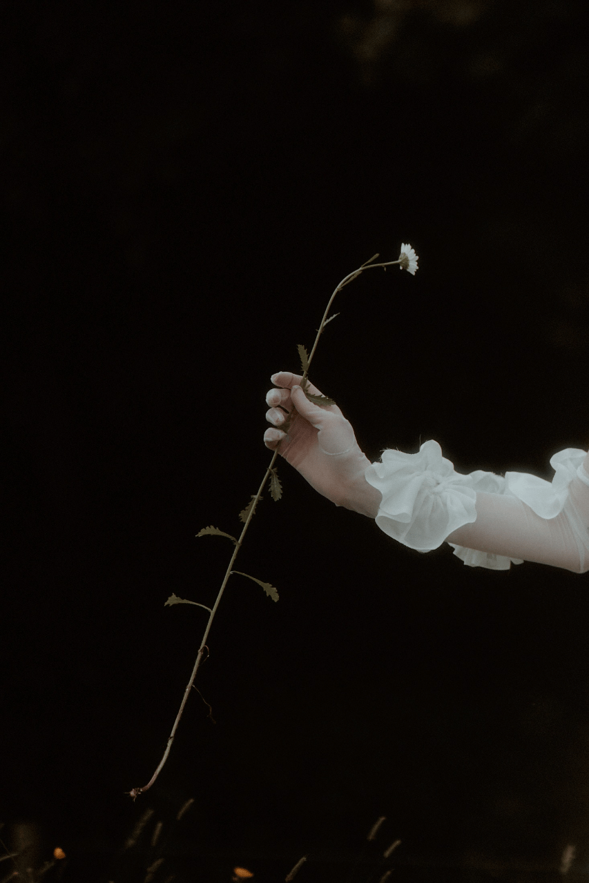 Millar Cole Photography
