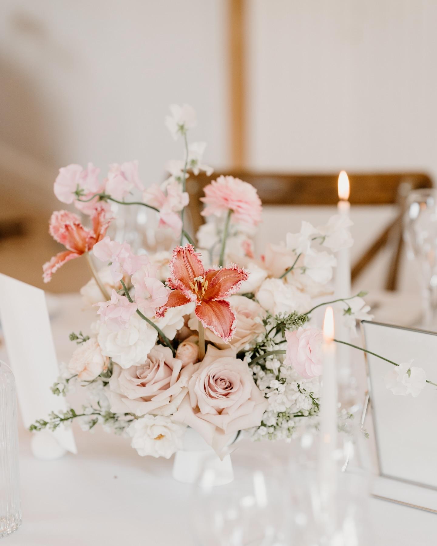 Hannah Carter Floral Designs portfolio 5