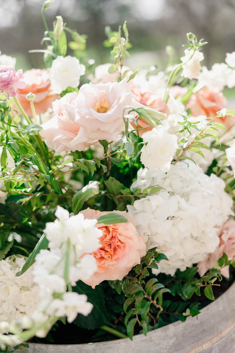 Darling Blooms portfolio 3