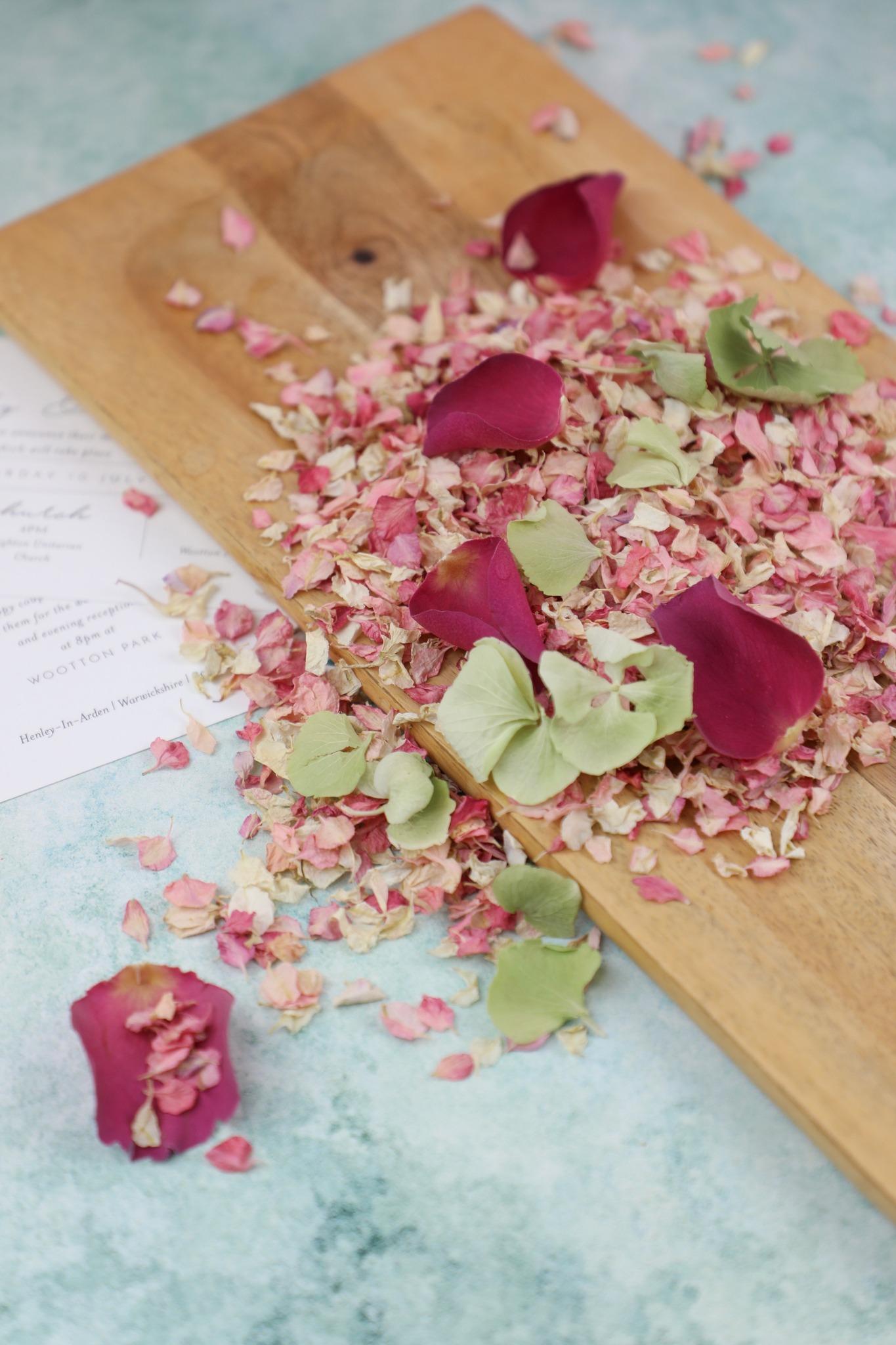 Shropshire Petals portfolio 2