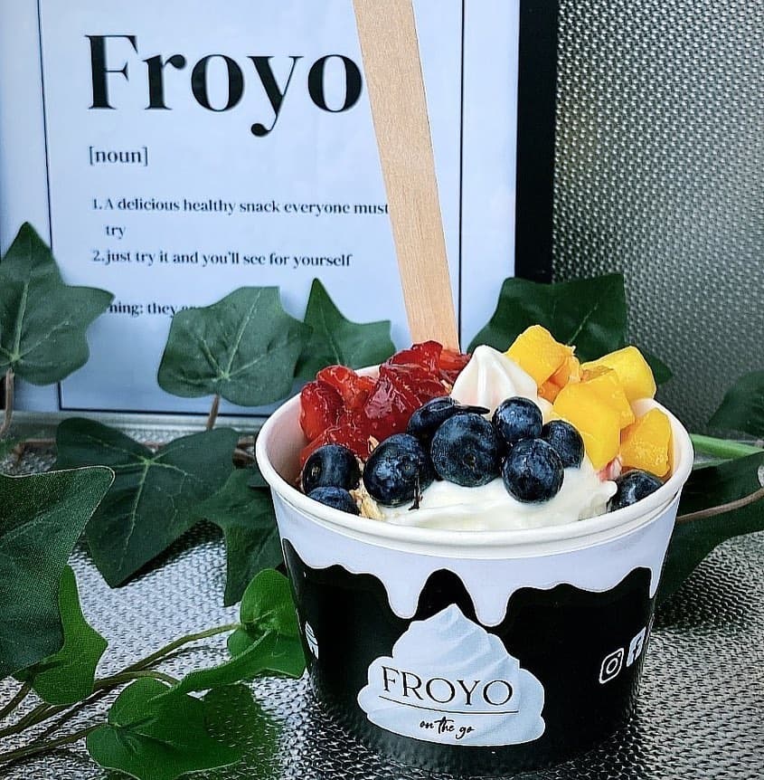 Froyo on the Go portfolio 3