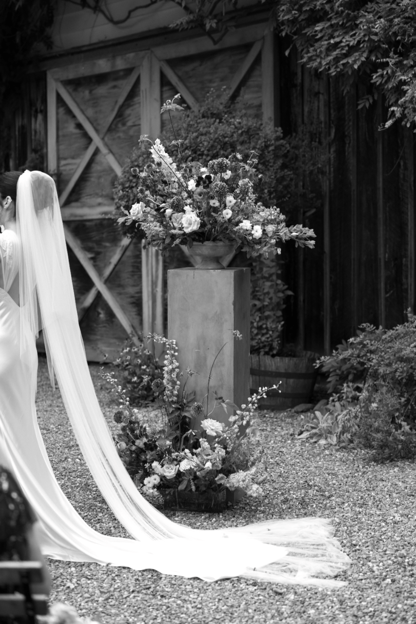 Taylor Curtin & Ian Watson's wedding-image-21