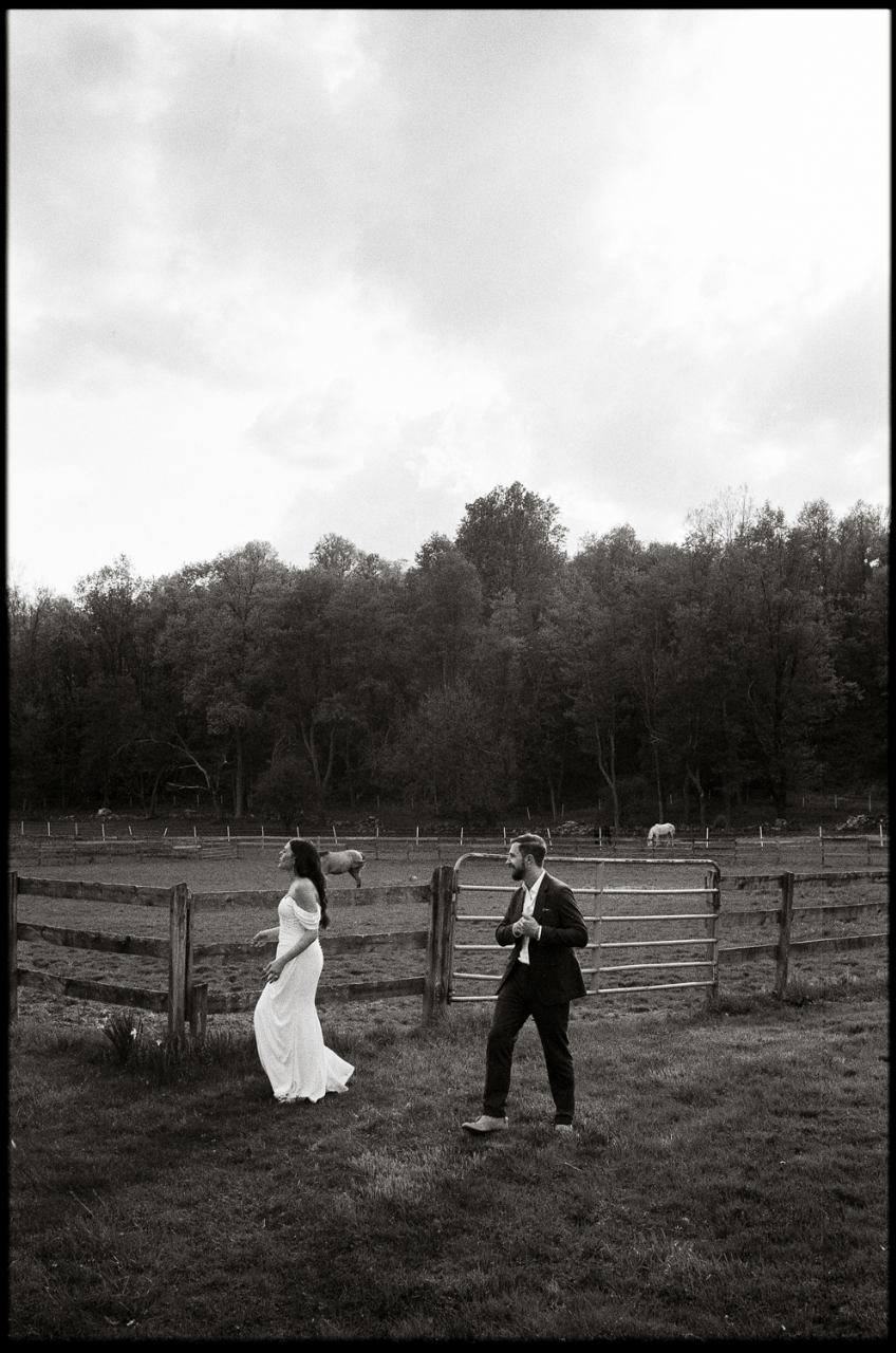 Daniel Silbert portfolio 3