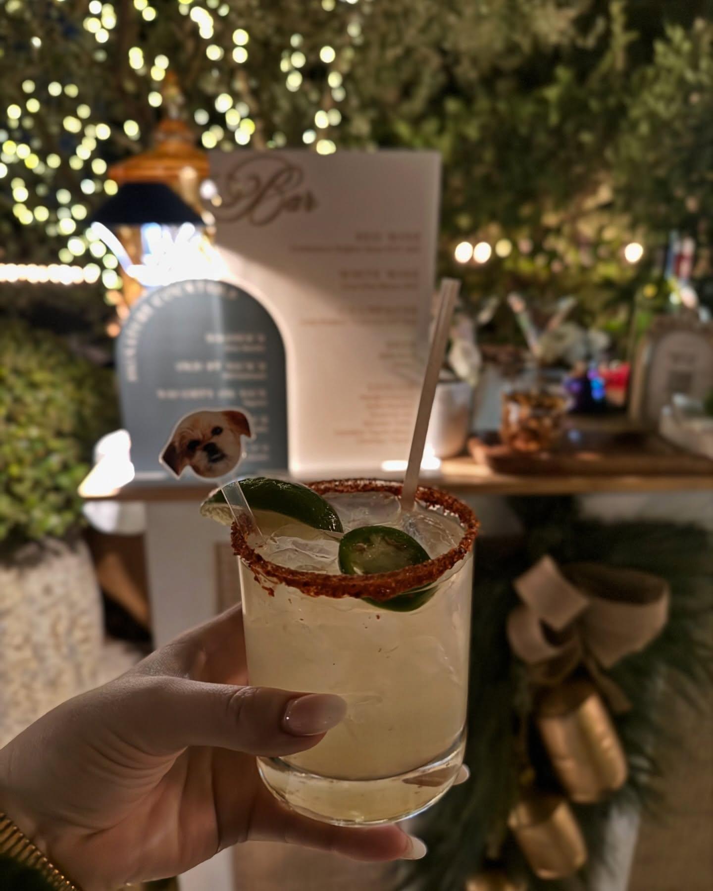 Spritzy Bartender portfolio 3