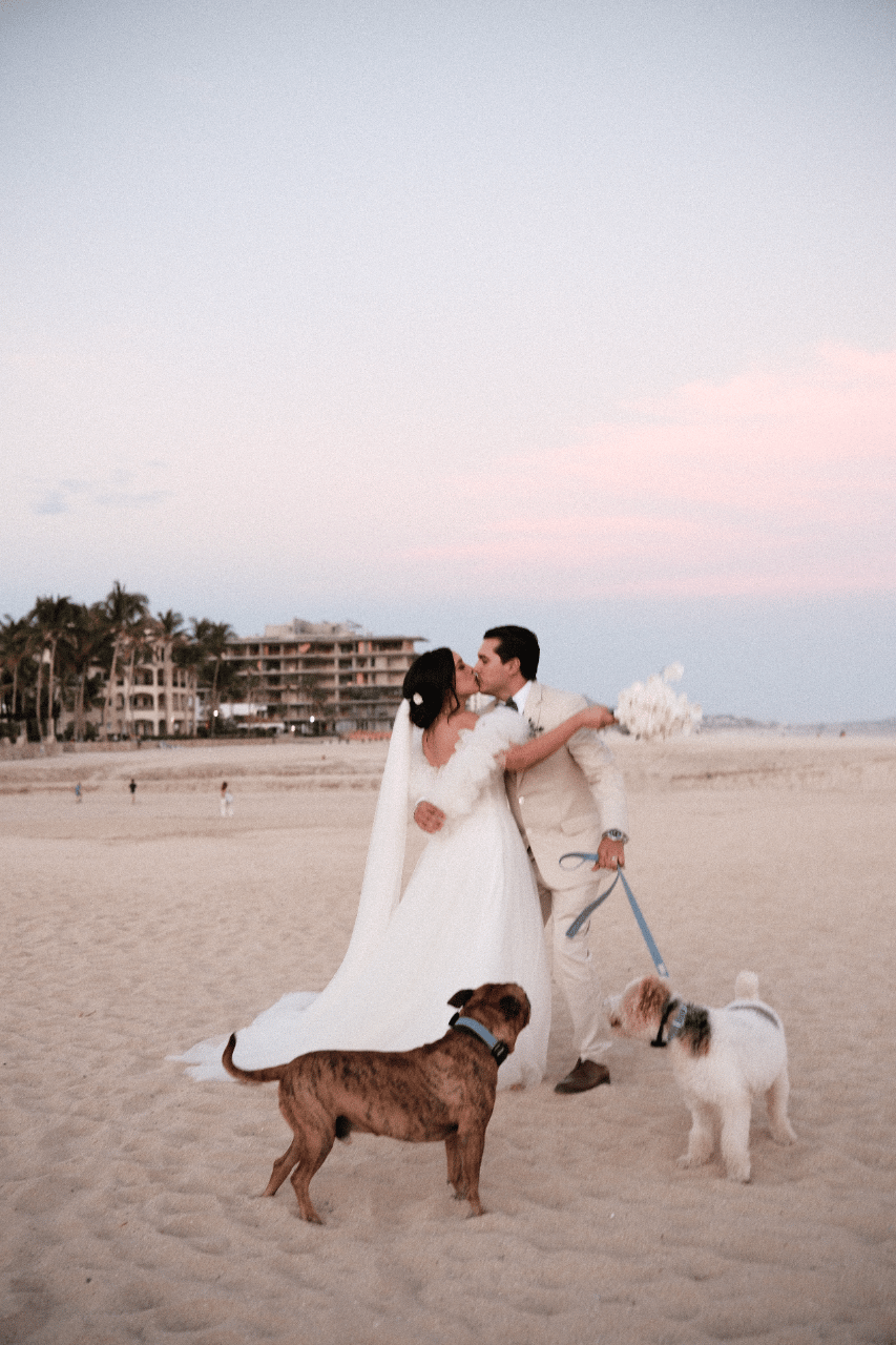 SOS Wedding Planner portfolio 3