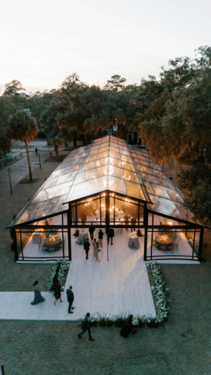The Newton Collective portfolio 5