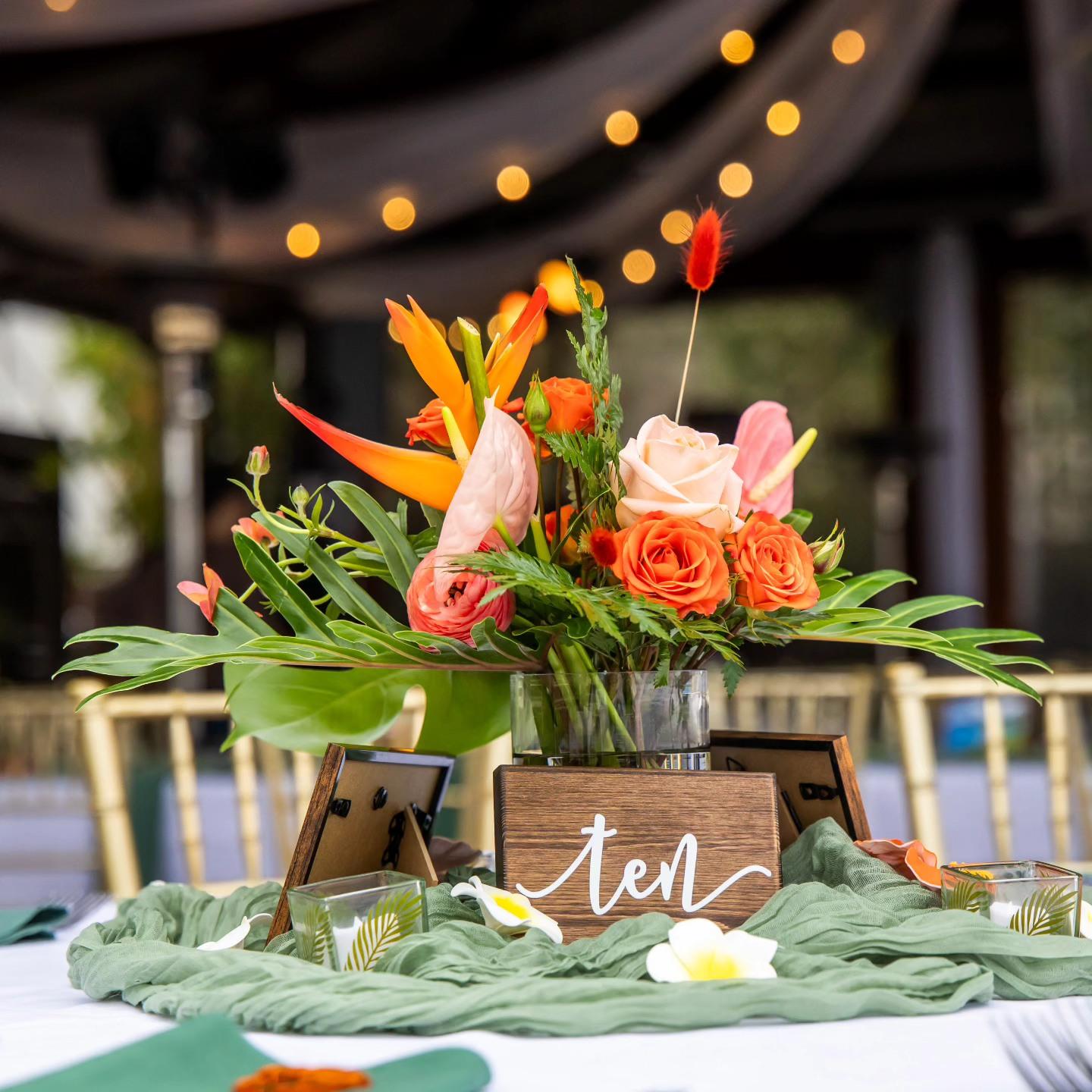 Taylor Grace Designs