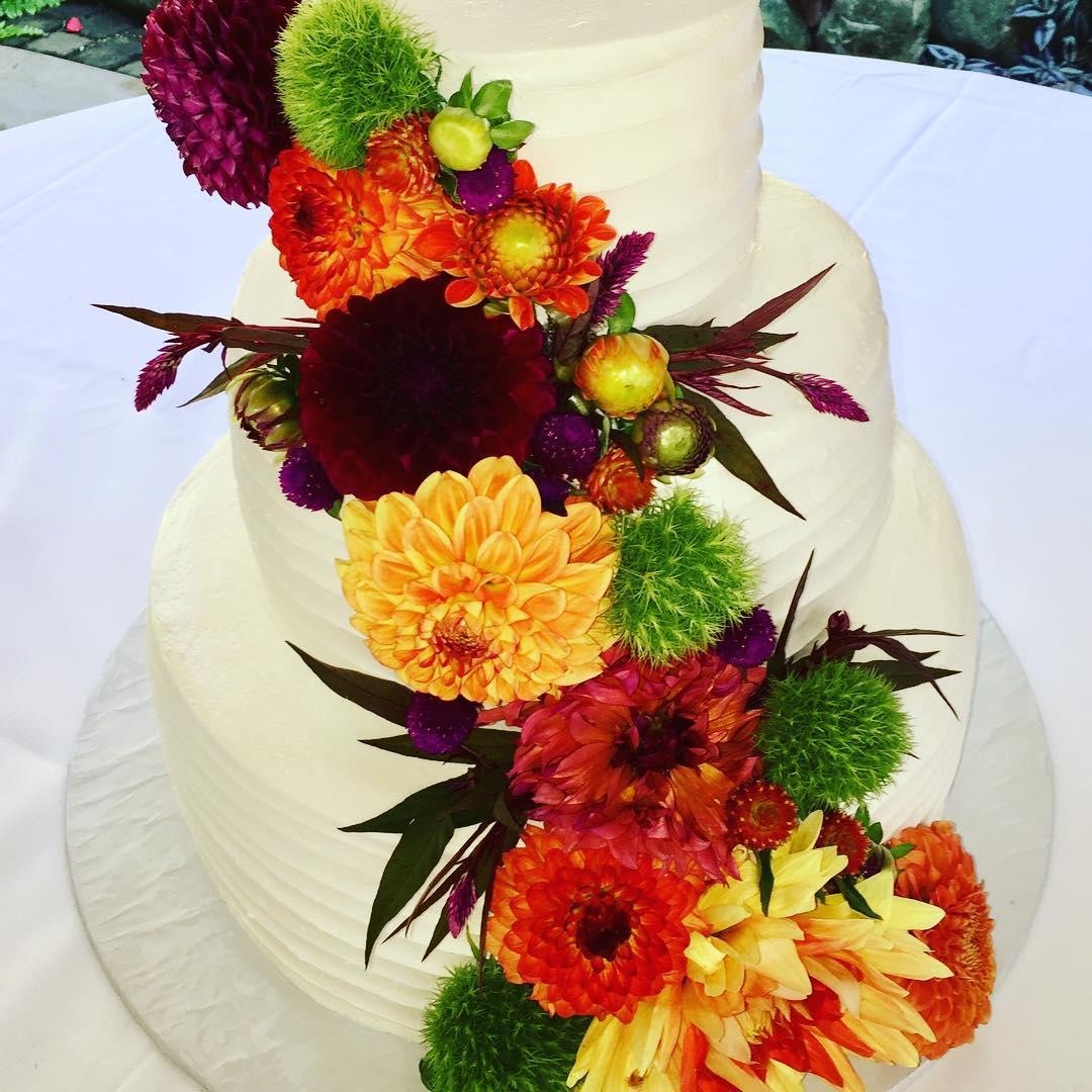 Bert's Bakery portfolio 2