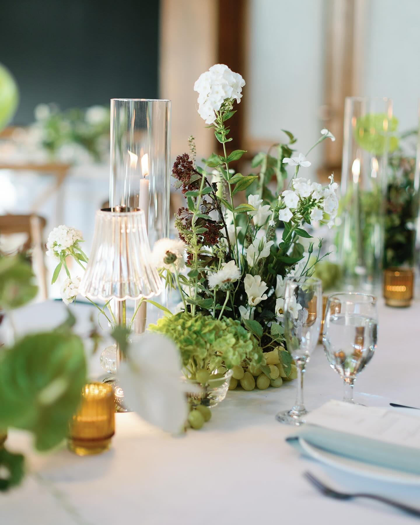 Wild Hare Floral Co portfolio 3