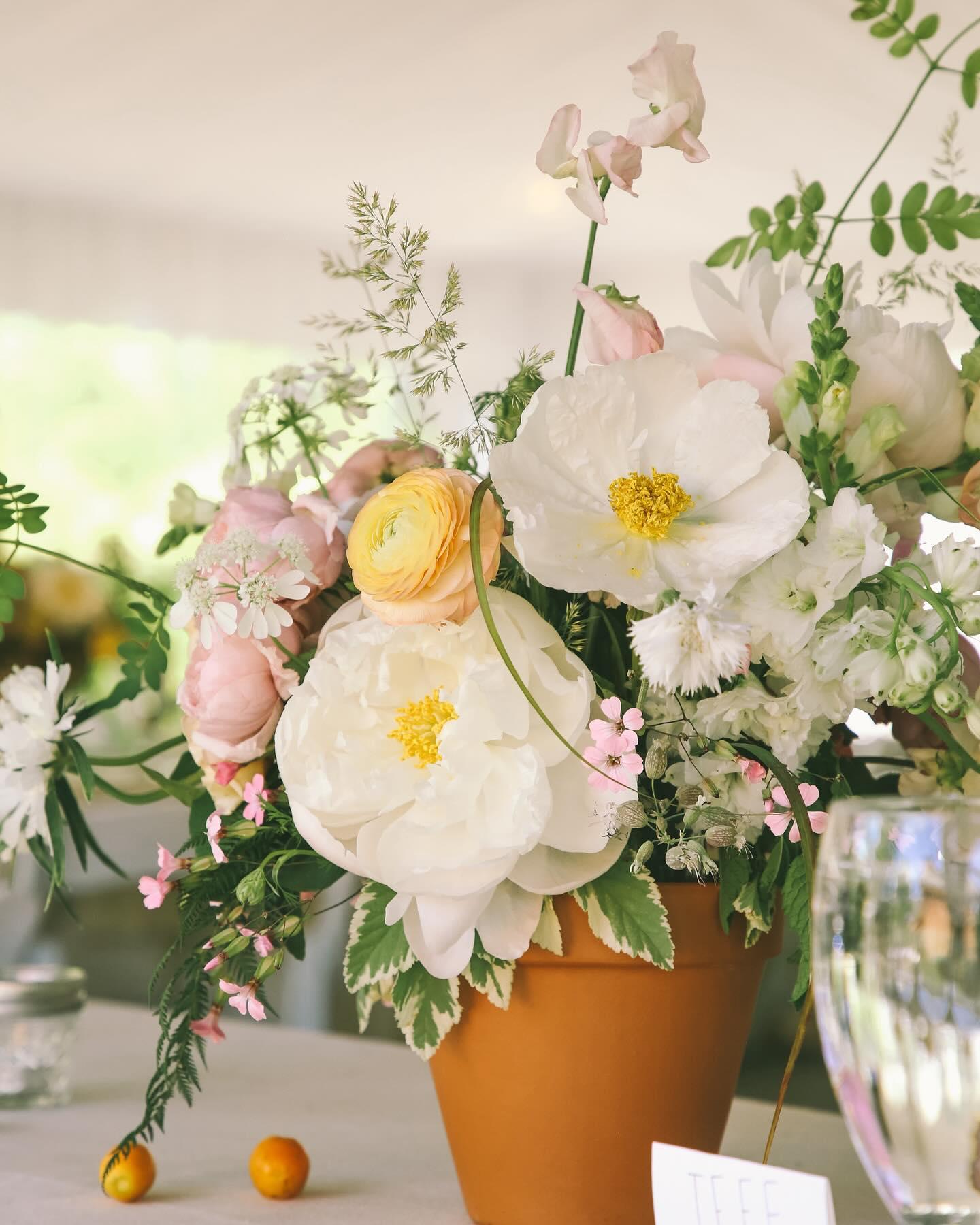Wild Hare Floral Co portfolio 1