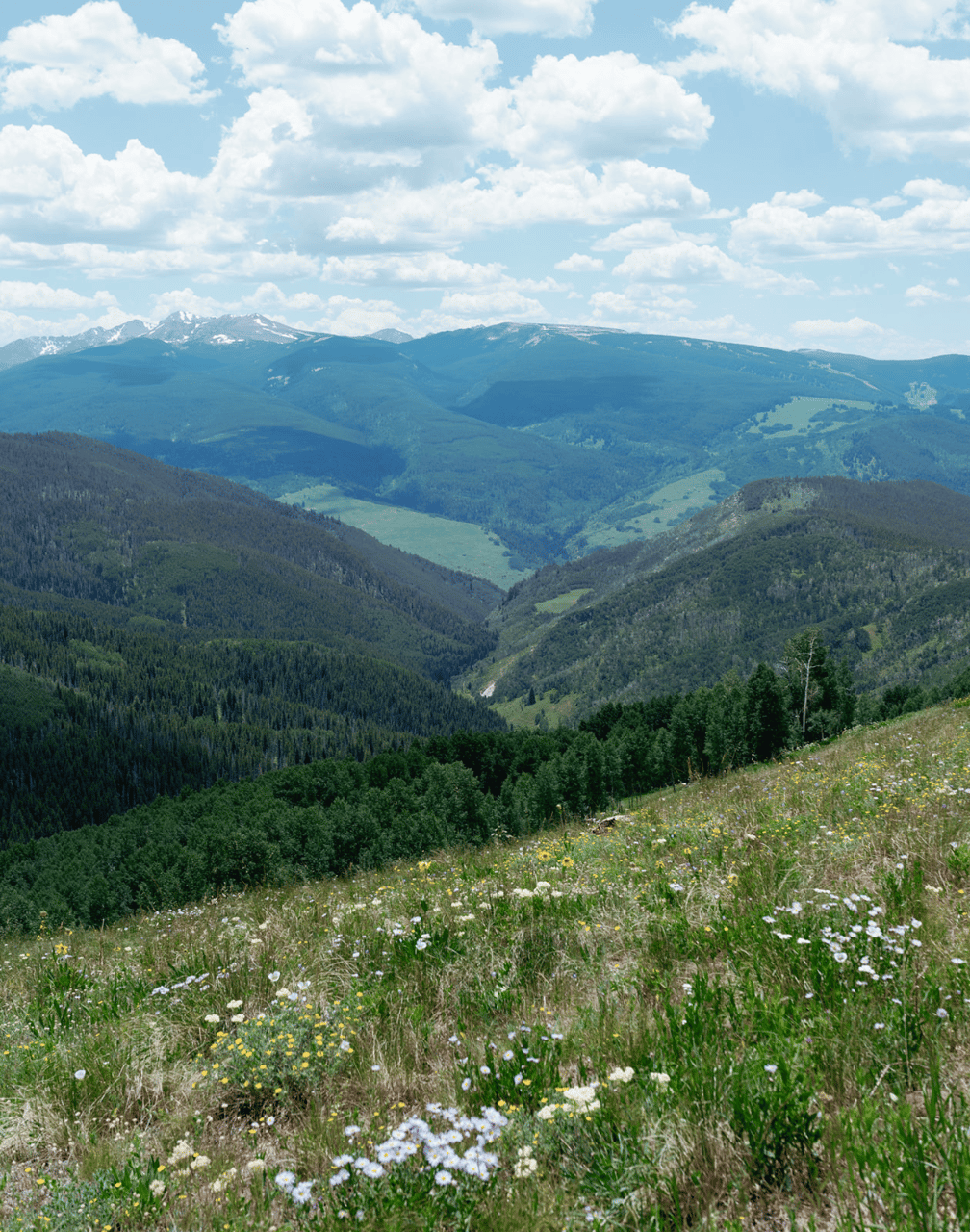 A Whimsical Summer Wedding at The Arrabelle at Vail Square photo 2