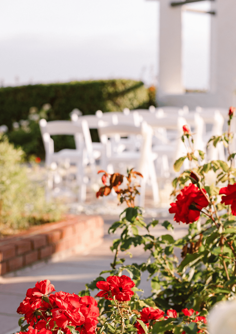 A Refined Sunset Celebration at Palisades Gazebo Park photo 2