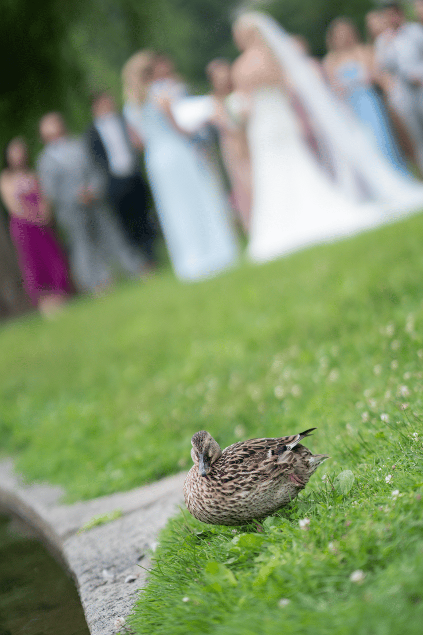 Kelly Duggan & Declan Newman's wedding-image-34