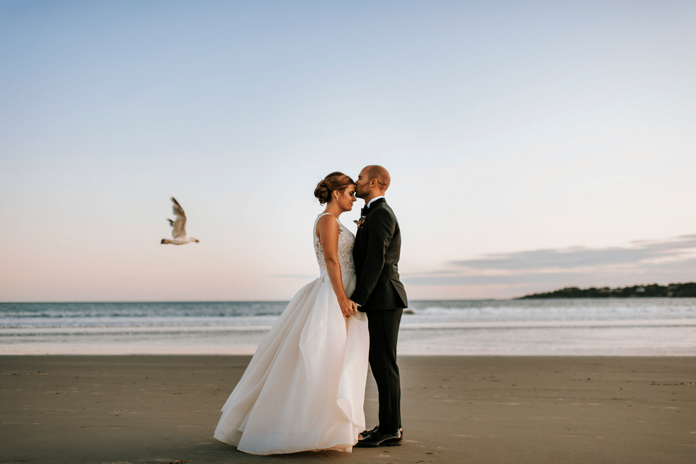 Amy Spirito Photography portfolio 5