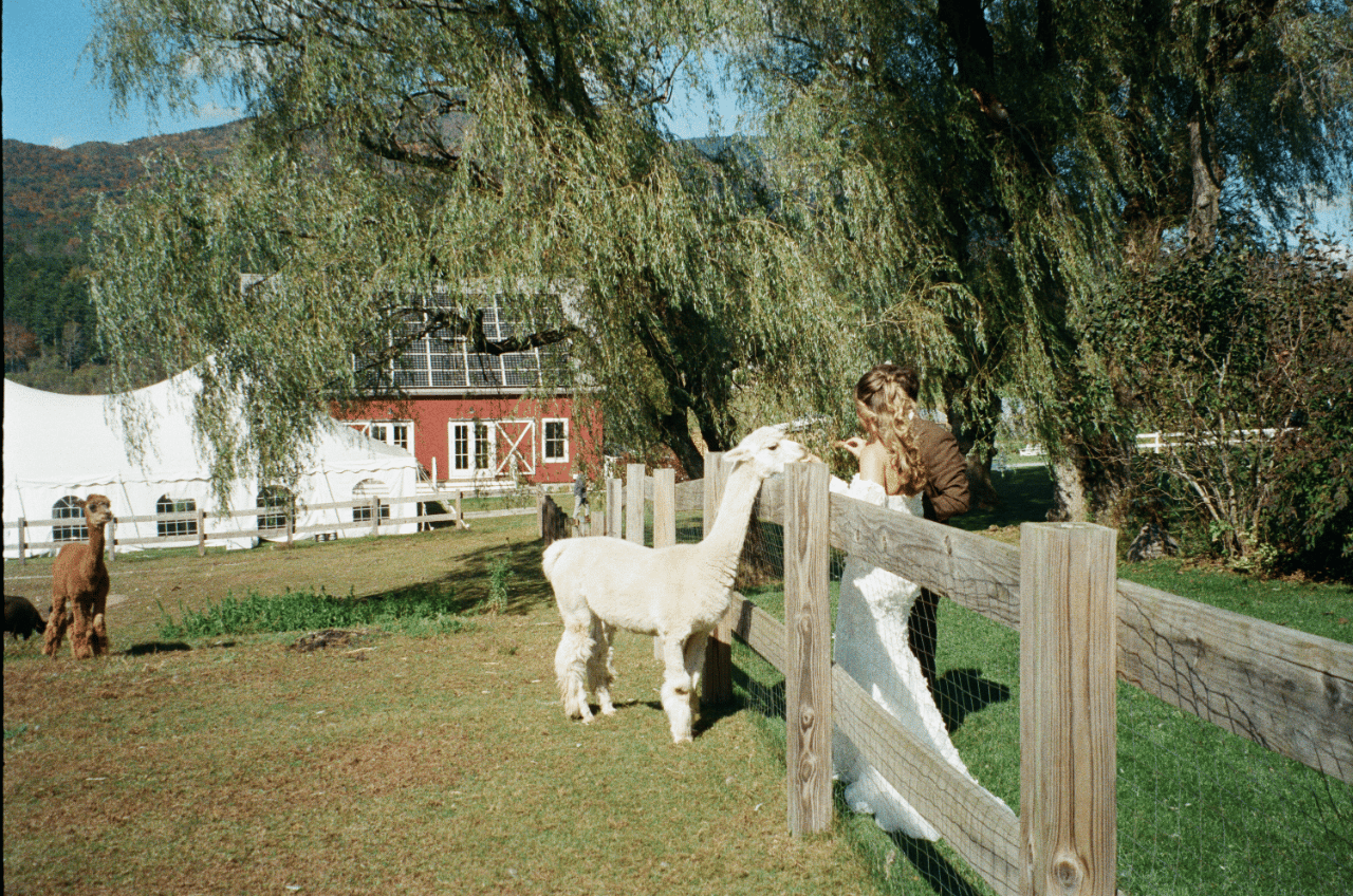 Hill Farm Inn