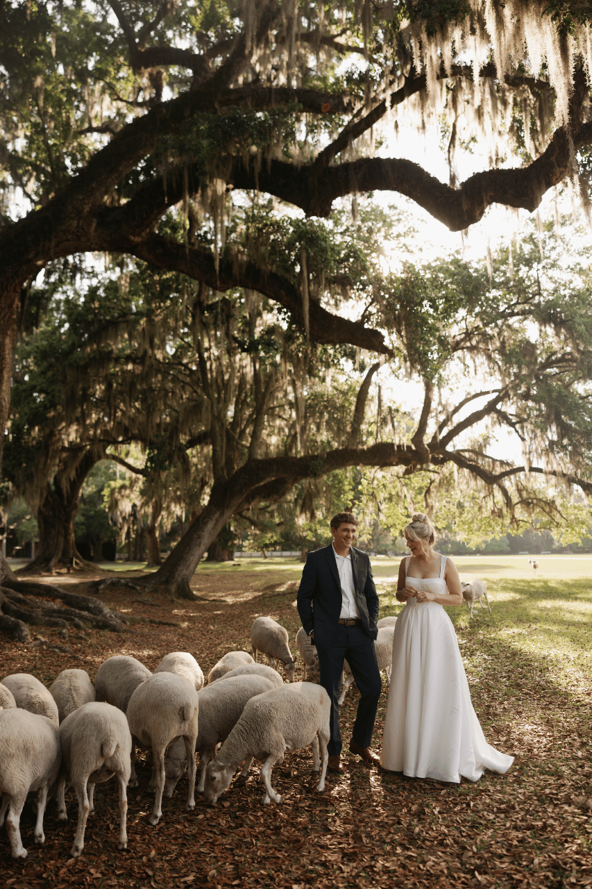 Middleton Place