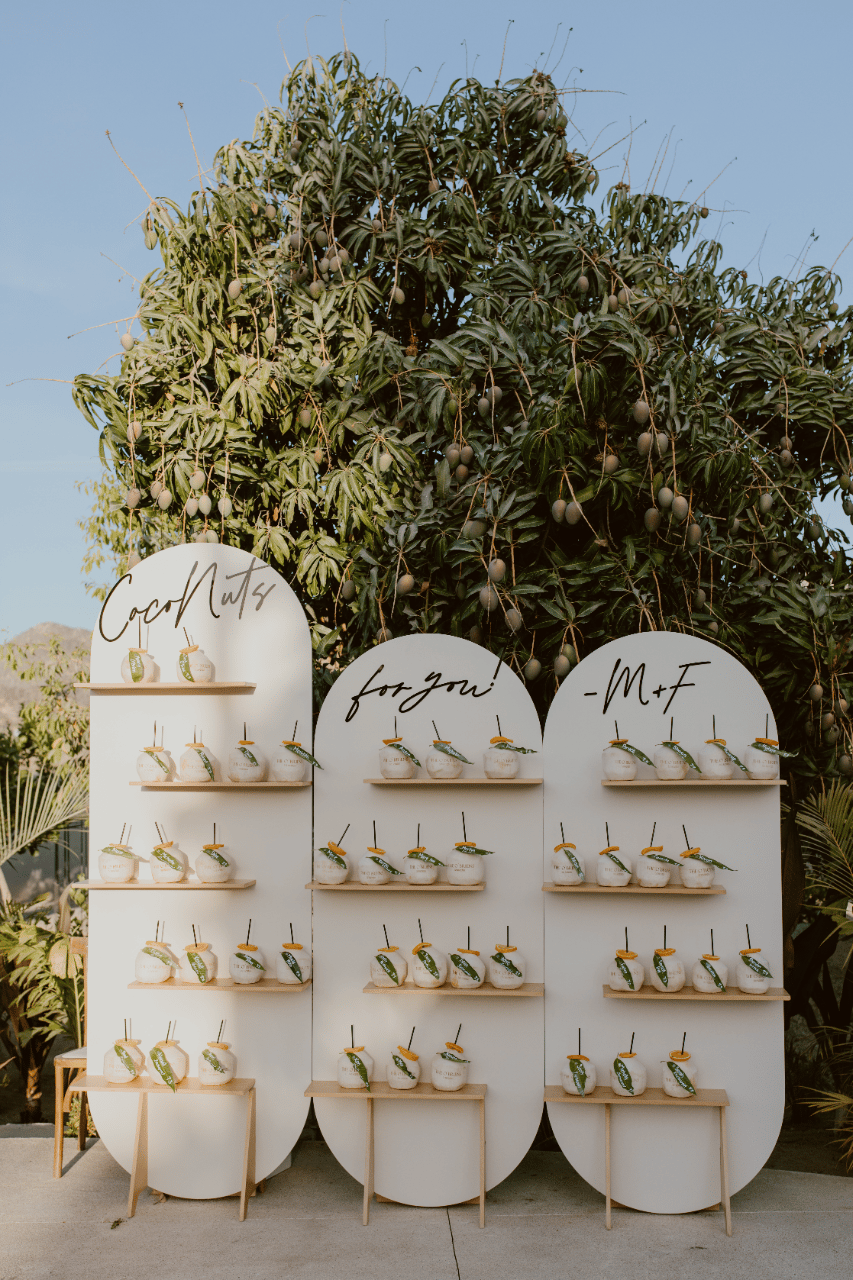 A Romantic Spring Wedding at Baja Luna