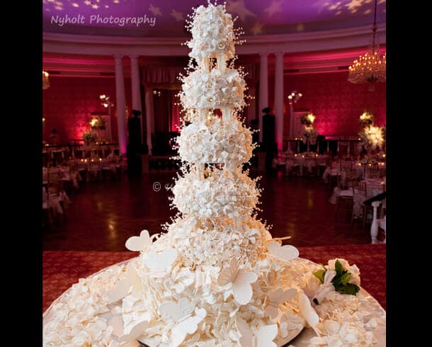 Who Made the Cake! portfolio 3