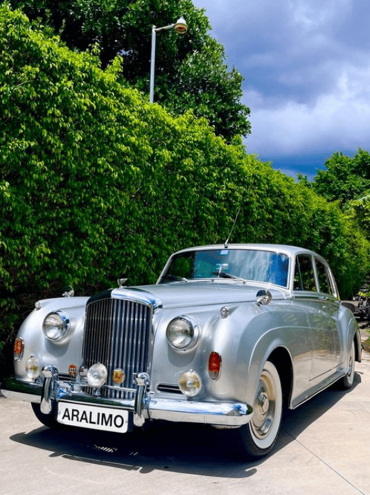 Ara Limo portfolio 3