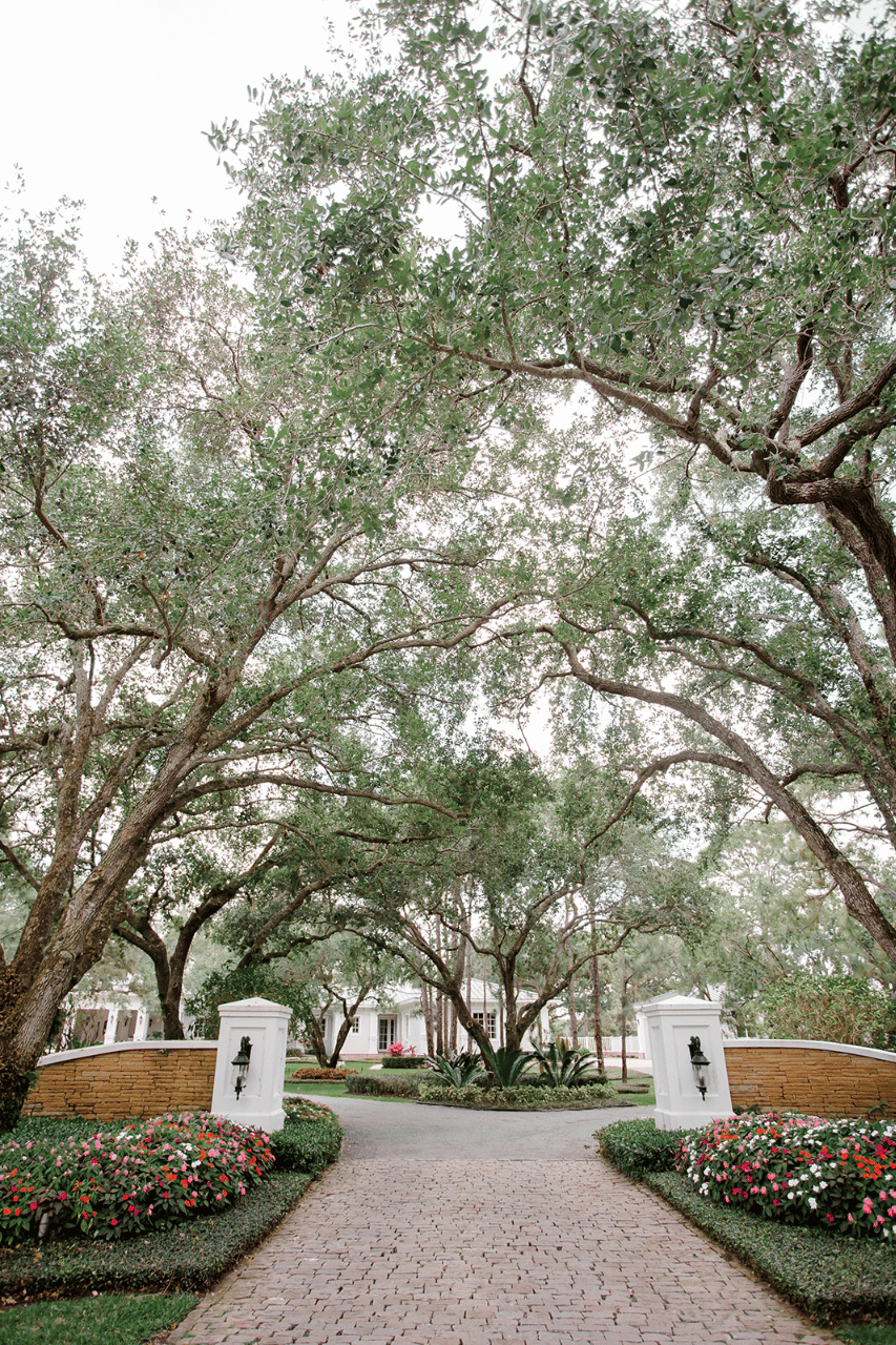 Hayley Peters & Michael Smith's wedding-image-1