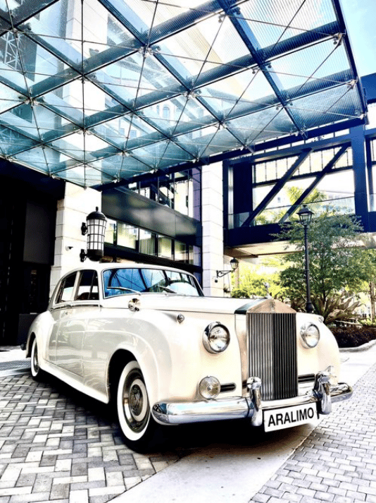 Ara Limo portfolio 1