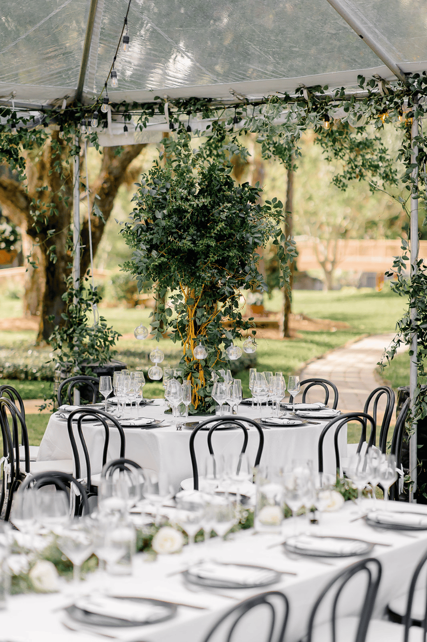 Hayley Peters & Michael Smith's wedding-image-89