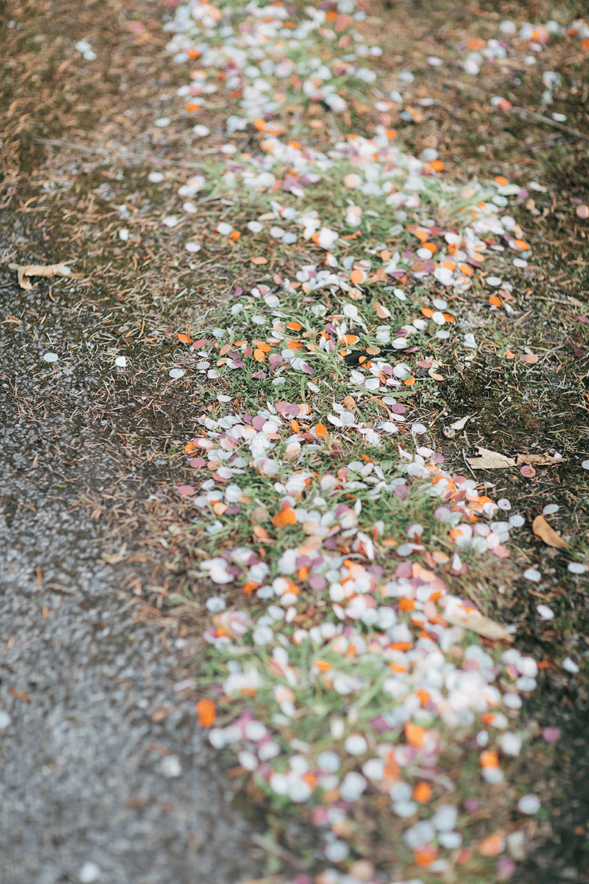 confetti