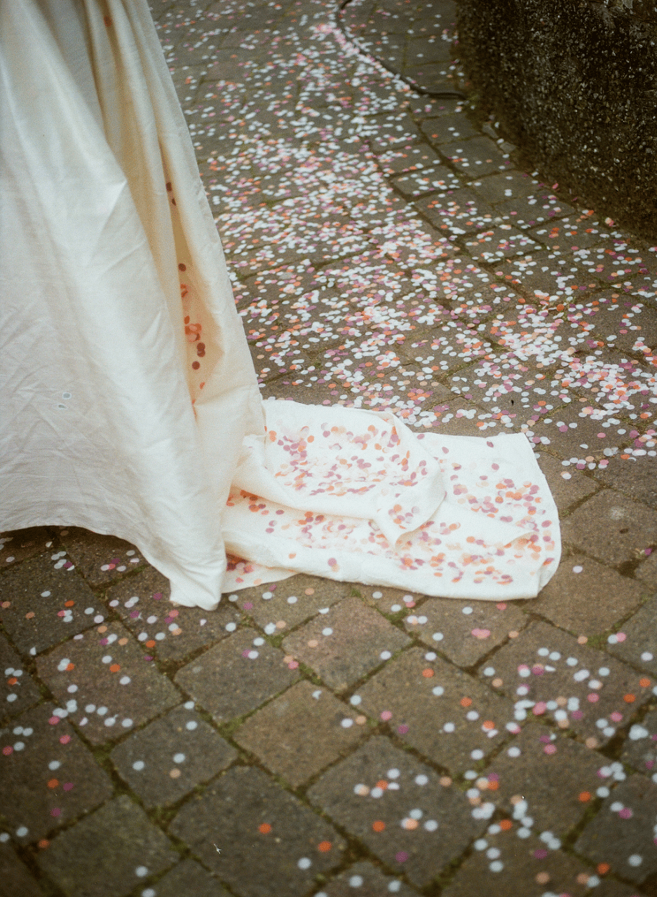 confetti on 120 film