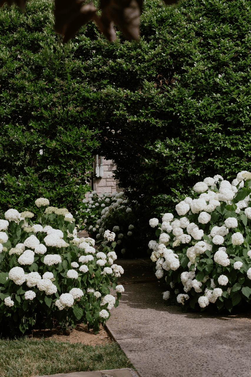 Lindsey Osmera & David Herrmann's wedding-image-94