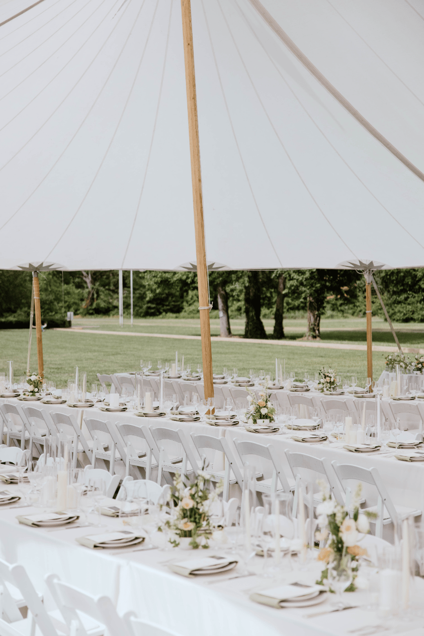 Lindsey Osmera & David Herrmann's wedding-image-19