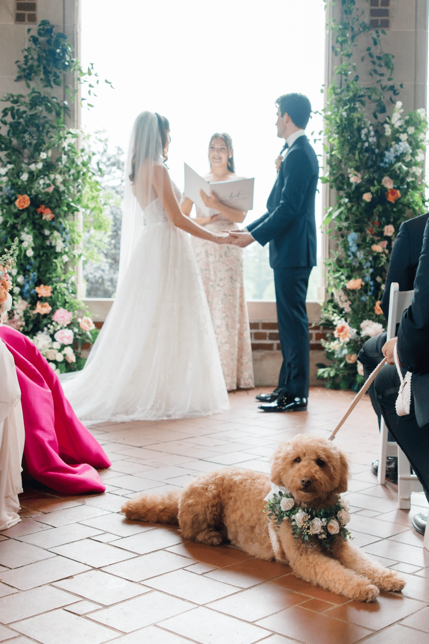 Brigitte Dale & David Howe's wedding-image-15