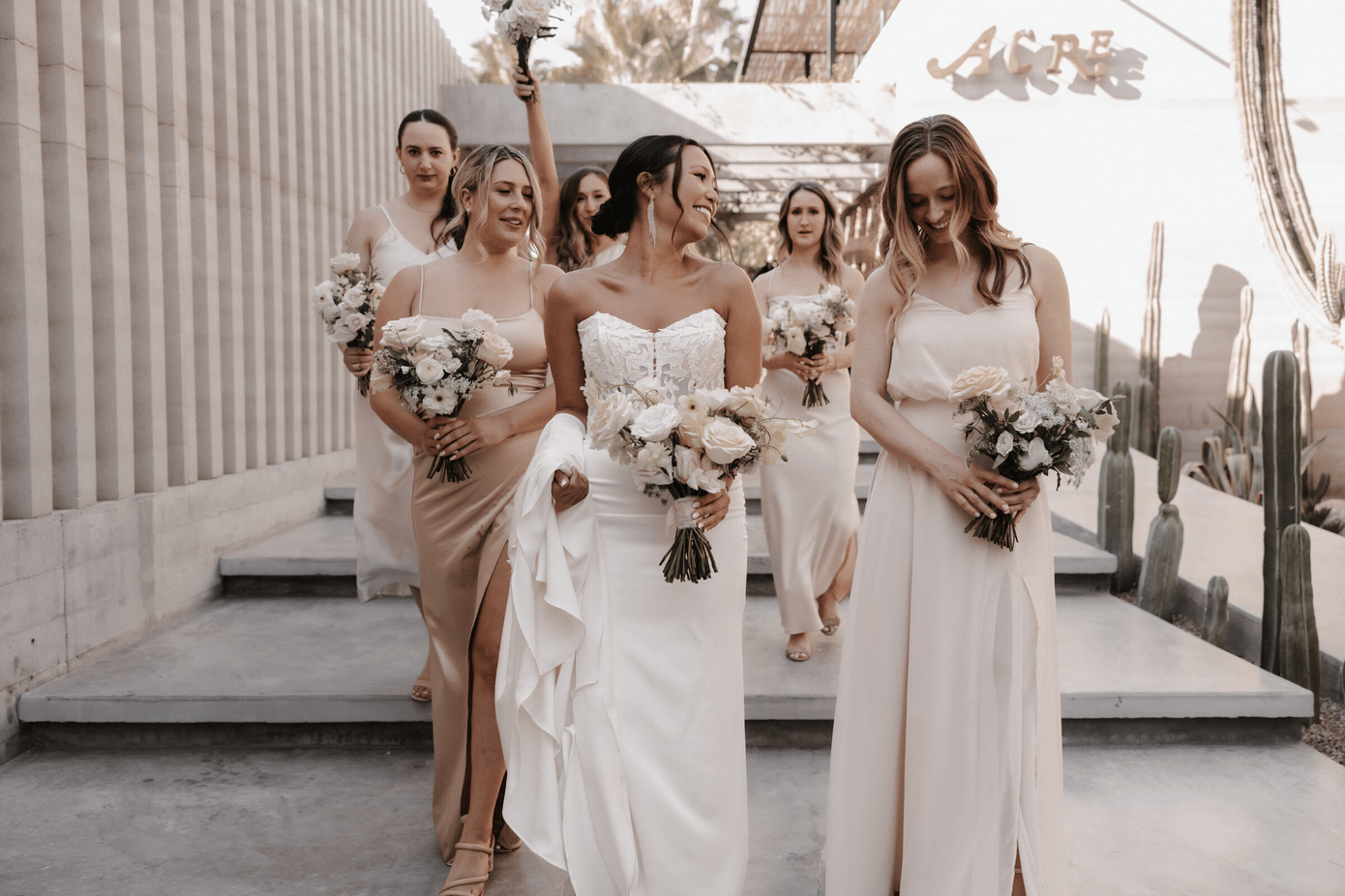 Elaena Williams-Pagaran & Carson Hoel's wedding 2