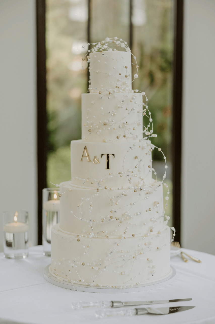 Toya Walter & Admire Kuchena's wedding-image-65