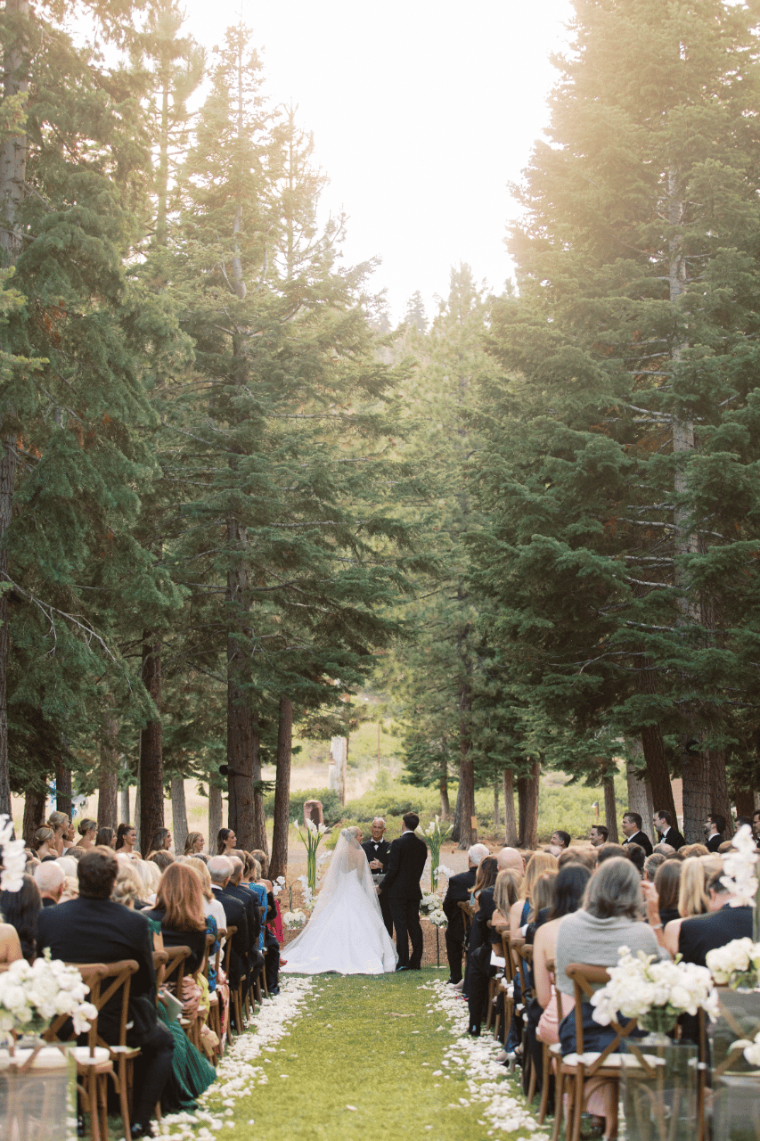 Janey Fielden & Michael Reddoch's wedding-image-50
