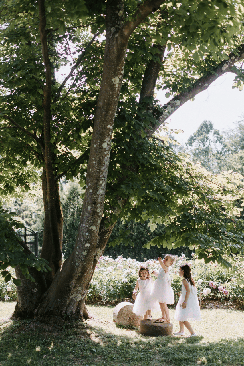 Susannah Gertz & Gregory Benedetto's wedding-image-16