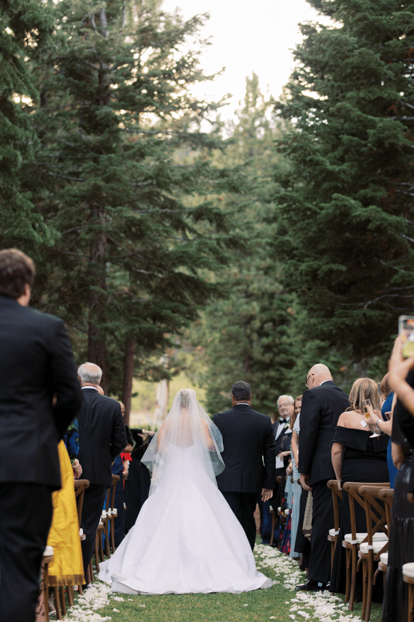 Janey Fielden & Michael Reddoch's wedding-image-48