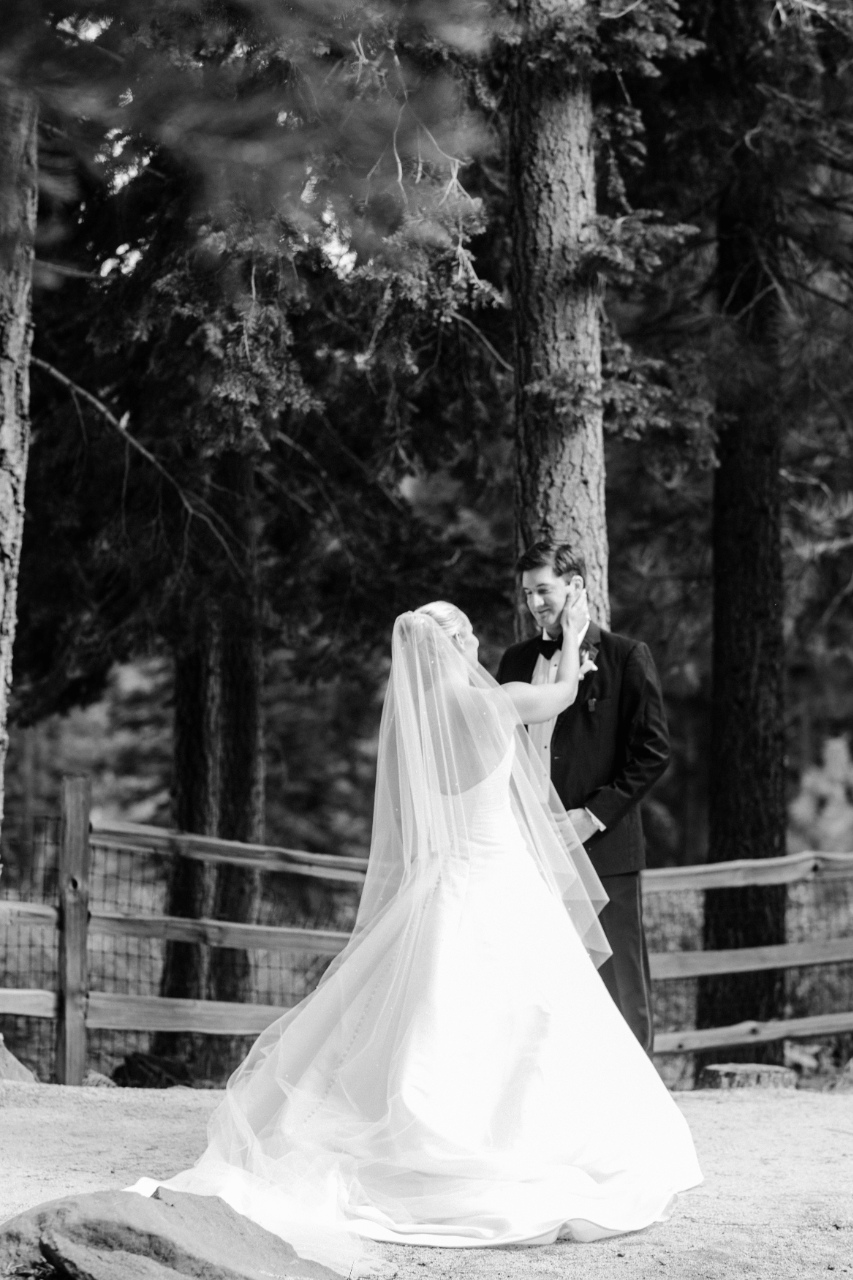 Janey Fielden & Michael Reddoch's wedding-image-36