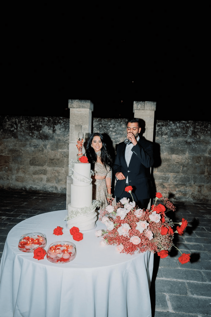 Sejal Sejal & Ravi Ravi's wedding 17