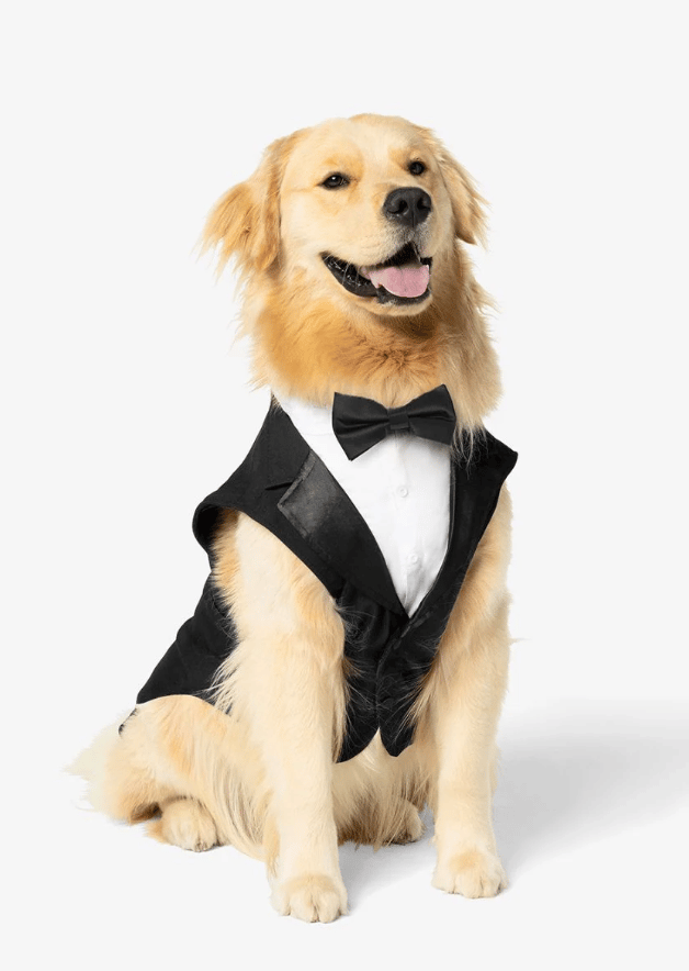 Black Dog Tuxedo