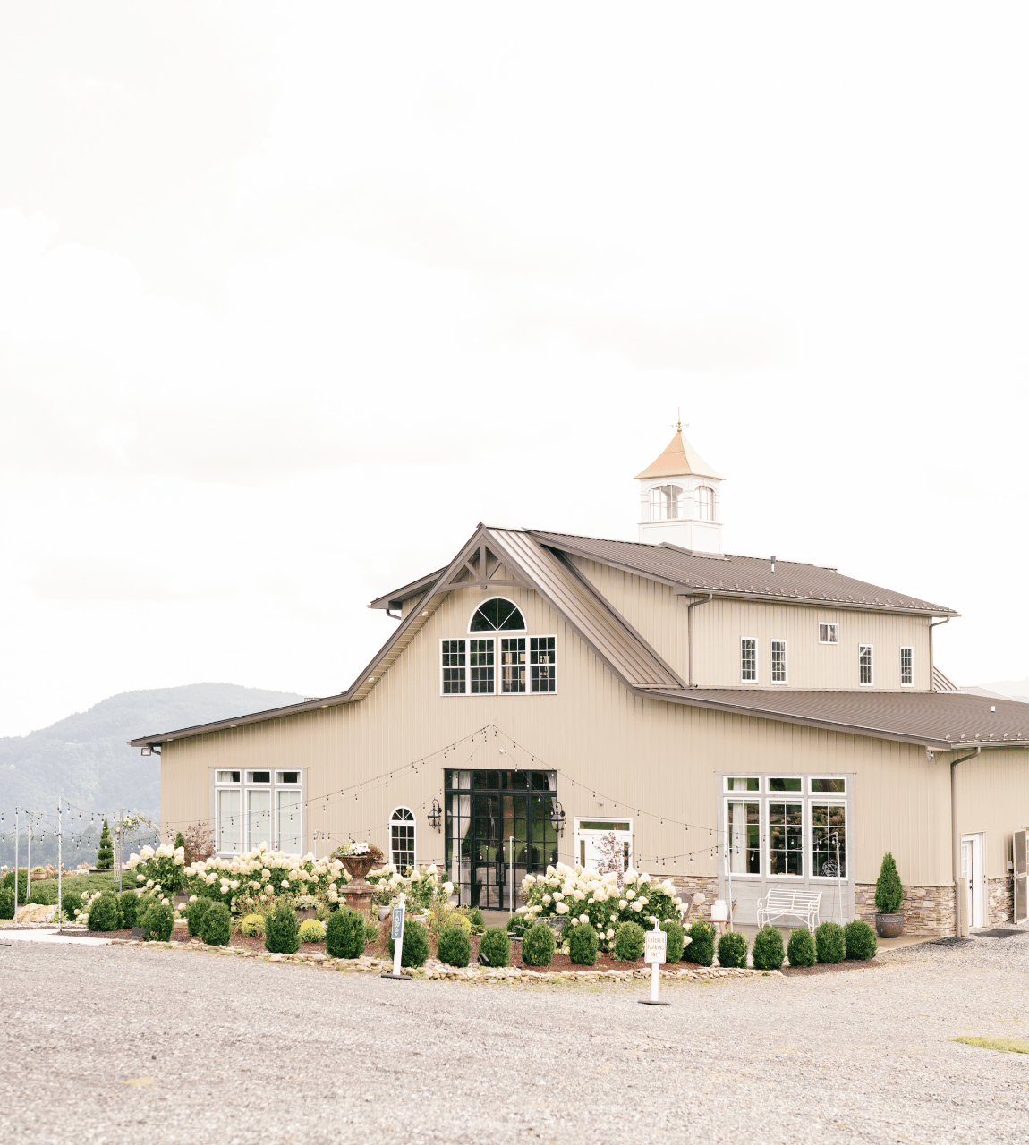 Allison Pries & Nicholas Horner's wedding-image-23