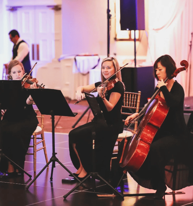 Fretless Music