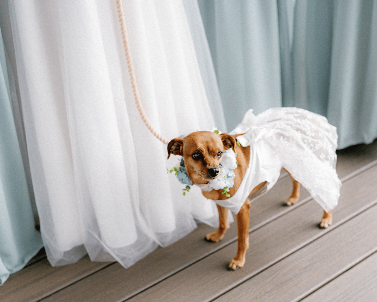 Allison Pries & Nicholas Horner's wedding-image-31