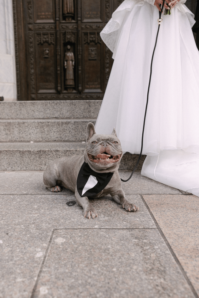 Alexis Bamonte & Thomas Shockley's wedding 10