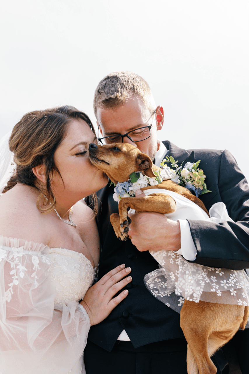 Allison Pries & Nicholas Horner's wedding-image-40