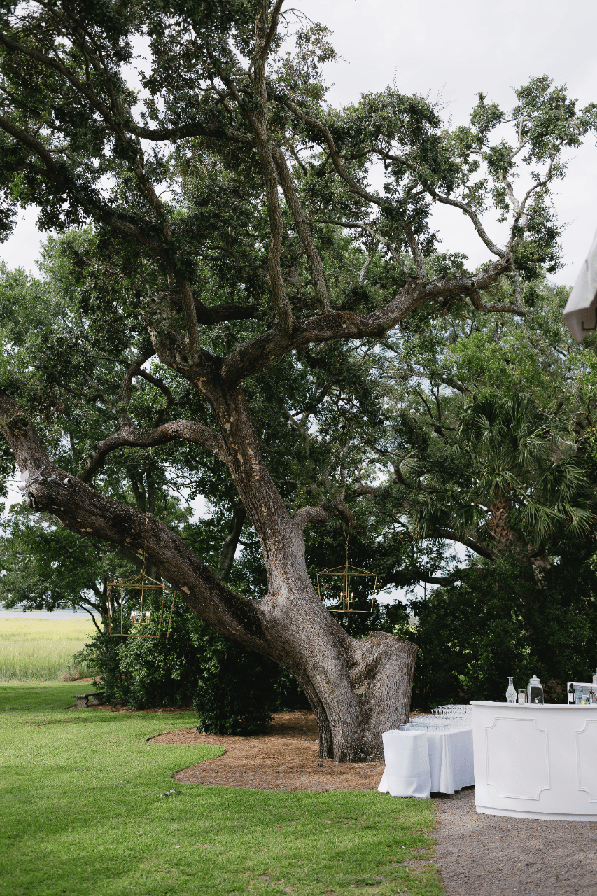 Taylor Johnson & Chelsea Behnke's wedding-image-105